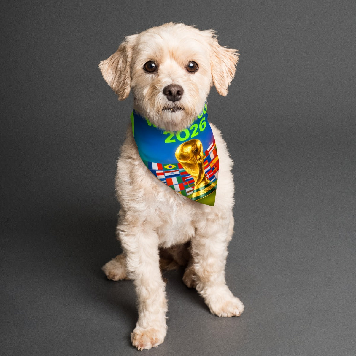 World Cup Atlanta - Trophy Pet's Scarf