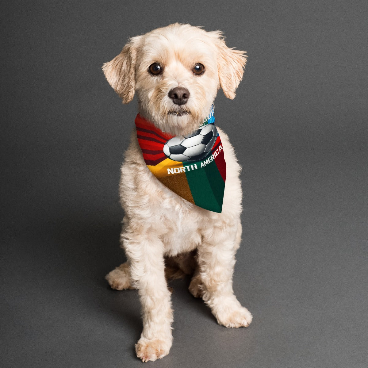 World Cup Atlanta - Soccer Ball Pet's Scarf